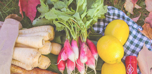 LE RENDEZ VOUS DU MESCLUN